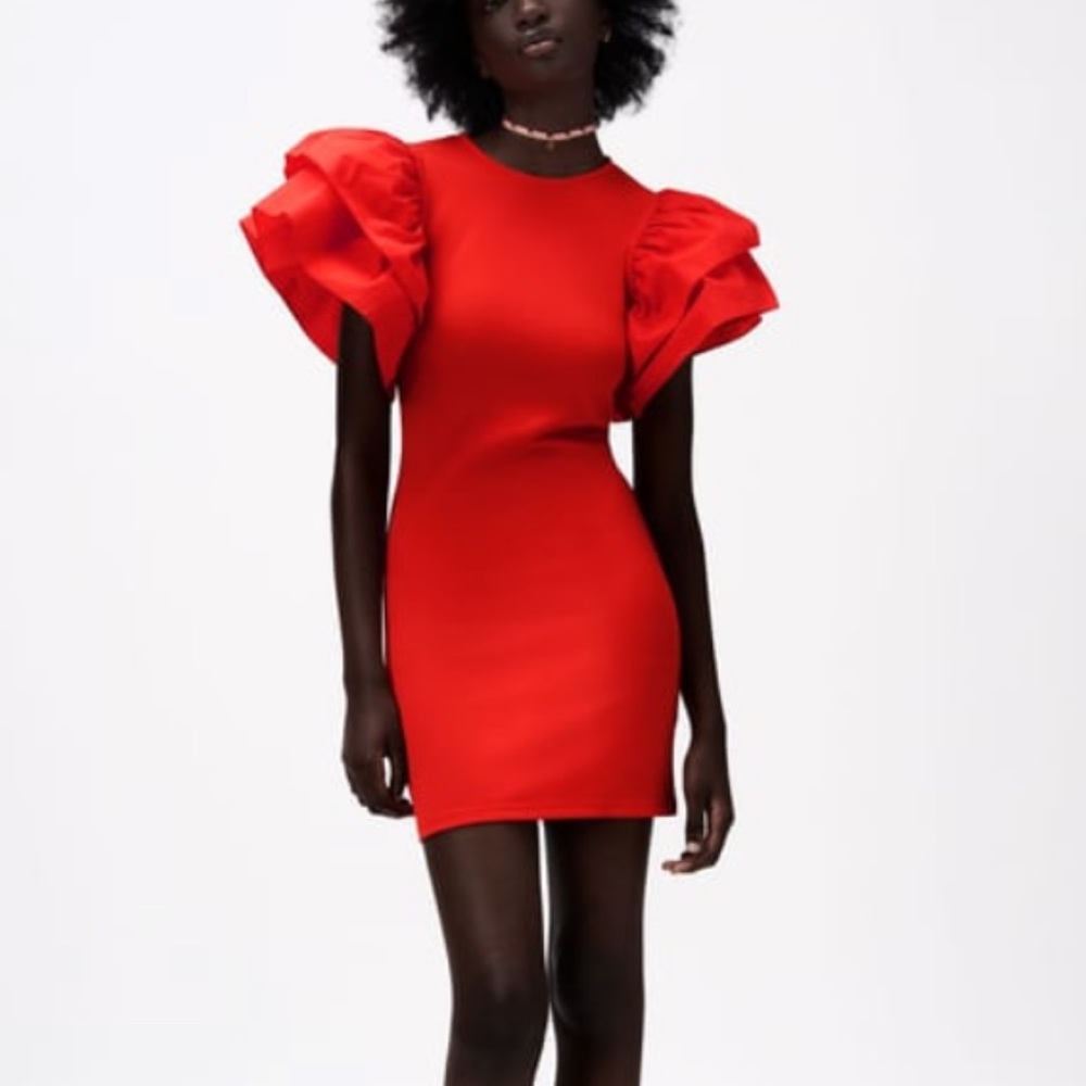 NWT Zara Ruffle Dress